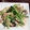ほこママ's cooksnap of when they made 茄子と小松菜としめじのオイスターマヨ！.