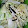 りりもこもこ's cooksnap of when they made キャベツの塩昆布＆マスタードマヨ和え.