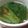 ゆーあちん's cooksnap of when they made ゴマが香るチンゲン菜のスープ.