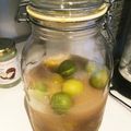 スナフキンmam's cooksnap of when they made 梅シロップ.