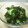 ayamiちゃん's cooksnap of when they made しょうがを食べる！酢の物.