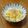 msft5632's cooksnap of when they made ✳︎シンプル！たまごごはん✳︎.