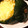 yuri827's cooksnap of when they made ぼっちゃんかぼちゃのまるごとグラタン.