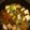 ぷんちきちーちゃん's cooksnap of when they made たっぷり野菜と厚揚げのあんかけ.