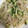 honamin☆98's cooksnap of when they made もやしとキュウリの梅和え.