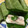 キッチンアル's cooksnap of when they made 我が家の＊柿の葉寿司.