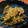 ゆーきシェフ's cooksnap of when they made ししとうとじゃこのきんぴら.