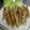 ギバ肉's cooksnap of when they made アスパラガスの豚肉まき.