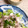 andyhouse's cooksnap of when they made 冷しゃぶ　ヨーグルトだれ柚子こしょう風味.