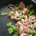 クックSEBE92☆'s cooksnap of when they made 弁当に最適！豚肉とピーマンの生姜炒め.