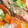 chulita5's cooksnap of when they made 鮭と野菜の蒸し煮.