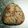ヤミーヤムヤム's cooksnap of when they made どこを食べても鮭！鮭！鮭！おにぎり.