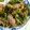 ちｪき♡ひなまま's cooksnap of when they made もやしとニラの炒めたやつ.