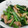 ポチうた's cooksnap of when they made 小松菜と魚肉ソーセージのオイマヨ炒め.
