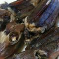 ま・まぁこ's cooksnap of when they made ほうぼうの昆布醤油みりん酒煮.