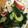 emicado's cooksnap of when they made タコとワカメと胡瓜の生姜ポン酢.
