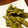 silverbee's cooksnap of when they made 簡単！焼くだけの焼空豆.
