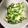 れおのよめ's cooksnap of when they made ささみの梅肉和え.