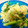にっこり向日葵's cooksnap of when they made お弁当に☆小松菜と卵の中華風炒め.