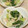 ぷのぷの's cooksnap of when they made 青梗菜のツナマヨ和え♬.