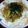 ♡みぃちゃん♡'s cooksnap of when they made S氏のパスタ（納豆タラコクリームパスタ）.