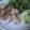 ゆた蔵２'s cooksnap of when they made レモン塩ペーストで､鶏肉の唐揚げ｡.