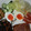 サーフブレイド's cooksnap of when they made 絶対満足☆煮卵　とり塩味.