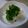 まほじょ's cooksnap of when they made パクチー好きさんに！パクチーのっけライタ.