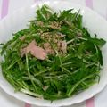 はやみちゃん's cooksnap of when they made 水菜とツナの中華風？サラダ.