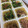 サミ☆彡's cooksnap of when they made お弁当用冷凍食品☆２種のほうれん草.