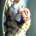 sunbright's cooksnap of when they made 大根おろしのサラダ.
