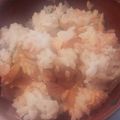 curisupin's cooksnap of when they made ズボラめし！鮭と大葉の黄金チャーハン.