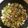 クックN5DNHZ☆'s cooksnap of when they made きゅうりと豚バラの炒めもの.