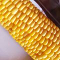 みるみりこ's cooksnap of when they made あら!?簡単！レンジとうもろこしの茹で方.