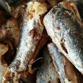 真っ黒子猫の小梅さん's cooksnap of when they made 調理室ﾖﾘ～簡単☆鰯の梅煮(●^o^●).