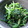 naru＊café's cooksnap of when they made ほうれん草の胡麻和え.