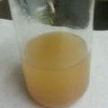 szkmama's cooksnap of when they made 煎り酒（江戸前料亭の再現）.