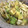 たにたーに's cooksnap of when they made アボガドと新玉ねぎの和え物★.