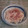 オレンジリング's cooksnap of when they made 新玉ねぎのマヨワサおかか和え.