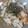 ☆Rokko☆'s cooksnap of when they made 柚子を使ってちらし寿司.