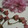 まめ's cooksnap of when they made 桜の塩漬け.