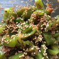 ちゃろみん's cooksnap of when they made ピーマン消費に！超簡単おかか和え.