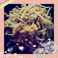 ♪チビ♪'s cooksnap of when they made ふわふわ卵ともやしの炒め物♪.
