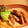 なか！！'s cooksnap of when they made ★超簡単！２種の肉巻き★.