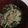 ココキキララ's cooksnap of when they made おくらうどん.