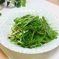 旦那は皿洗い's cooksnap of when they made 和えるだけ!水菜サラダ.
