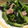 ryoyu's cooksnap of when they made 小松菜とベーコンのうまっ！炒め.