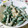 sara1213's cooksnap of when they made 簡単！いんげんのマヨおかか和え.