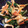 クックQF6EBV☆'s cooksnap of when they made 白才菜とちくわのおひたし.