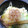 ＹＵＫＫＯＣＨＡＮ's cooksnap of when they made ネギと卵の直煮込みそうめん.